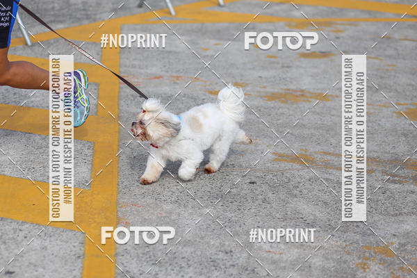Buy your photos of the eventCorrida Scooby Doo Internacional Shopping Guarulhos 2019 on Fotop