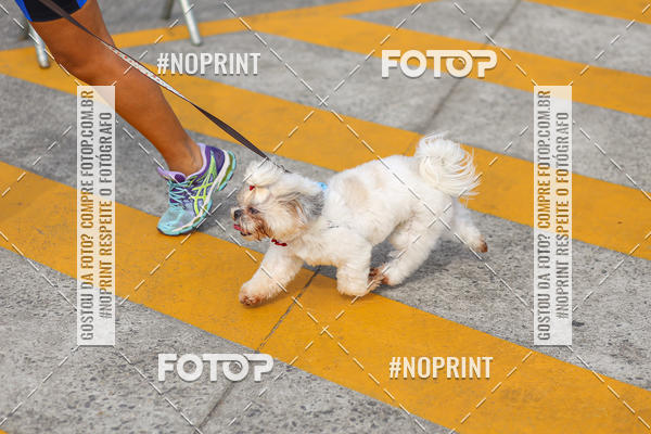 Buy your photos of the eventCorrida Scooby Doo Internacional Shopping Guarulhos 2019 on Fotop