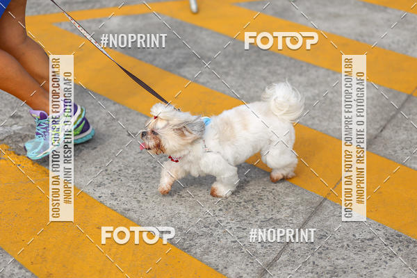 Buy your photos of the eventCorrida Scooby Doo Internacional Shopping Guarulhos 2019 on Fotop