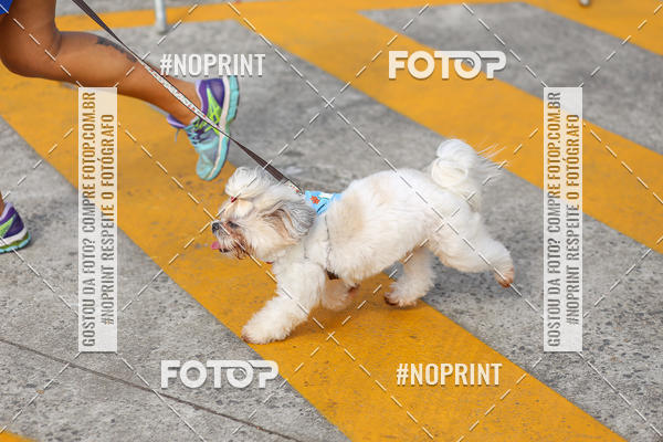 Buy your photos of the eventCorrida Scooby Doo Internacional Shopping Guarulhos 2019 on Fotop