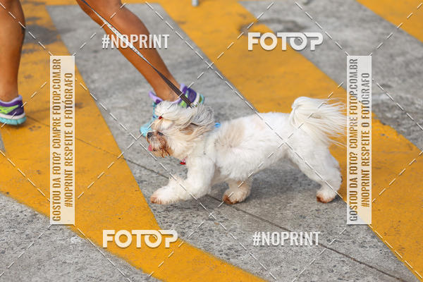 Buy your photos of the eventCorrida Scooby Doo Internacional Shopping Guarulhos 2019 on Fotop