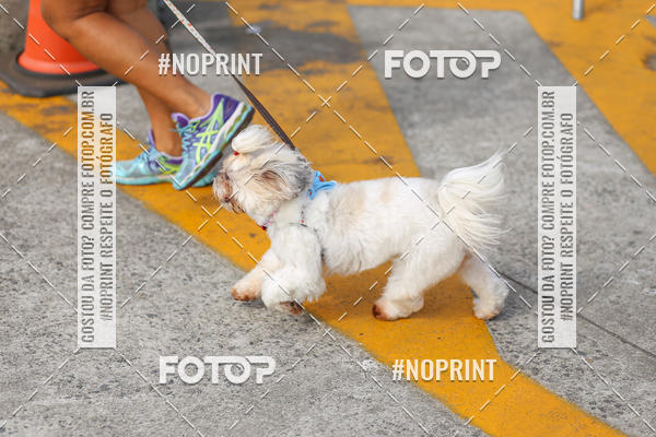 Buy your photos of the eventCorrida Scooby Doo Internacional Shopping Guarulhos 2019 on Fotop