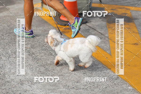 Buy your photos of the eventCorrida Scooby Doo Internacional Shopping Guarulhos 2019 on Fotop