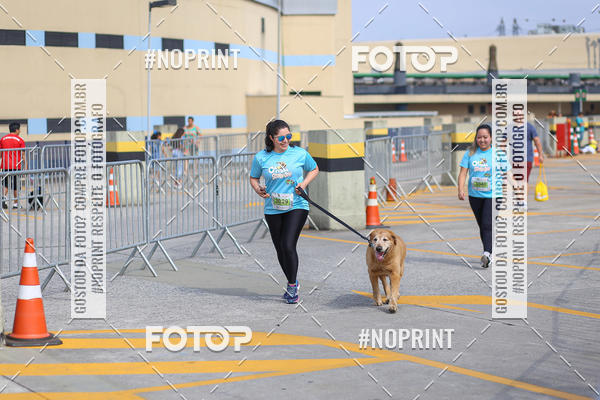 Buy your photos of the eventCorrida Scooby Doo Internacional Shopping Guarulhos 2019 on Fotop