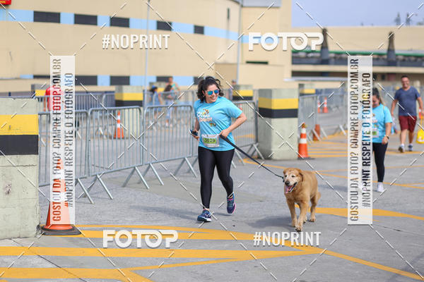 Buy your photos of the eventCorrida Scooby Doo Internacional Shopping Guarulhos 2019 on Fotop