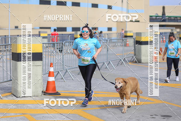 Buy your photos of the eventCorrida Scooby Doo Internacional Shopping Guarulhos 2019 on Fotop