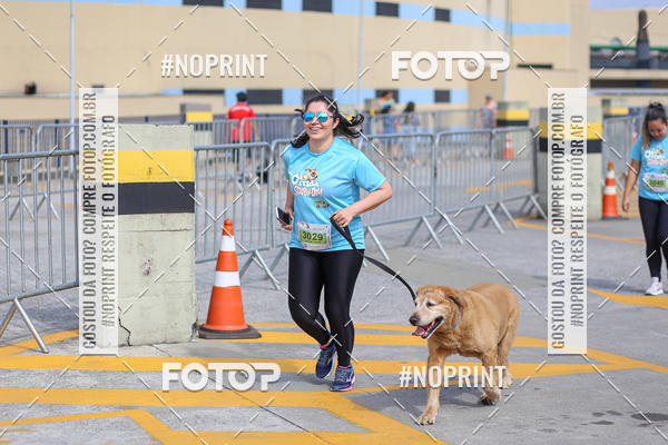 Buy your photos of the eventCorrida Scooby Doo Internacional Shopping Guarulhos 2019 on Fotop