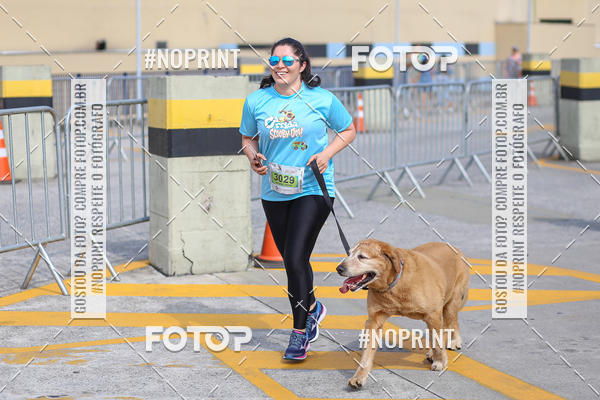 Buy your photos of the eventCorrida Scooby Doo Internacional Shopping Guarulhos 2019 on Fotop
