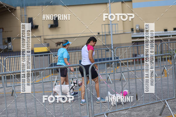 Buy your photos of the eventCorrida Scooby Doo Internacional Shopping Guarulhos 2019 on Fotop