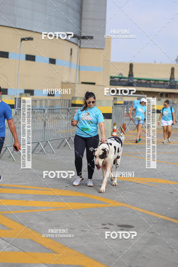 Buy your photos of the eventCorrida Scooby Doo Internacional Shopping Guarulhos 2019 on Fotop