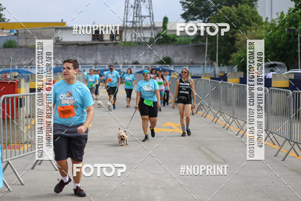Buy your photos of the eventCorrida Scooby Doo Internacional Shopping Guarulhos 2019 on Fotop