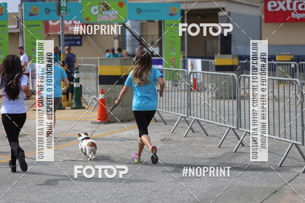 Buy your photos of the eventCorrida Scooby Doo Internacional Shopping Guarulhos 2019 on Fotop