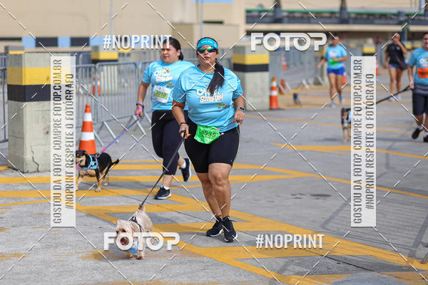 Buy your photos of the eventCorrida Scooby Doo Internacional Shopping Guarulhos 2019 on Fotop