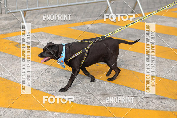 Buy your photos of the eventCorrida Scooby Doo Internacional Shopping Guarulhos 2019 on Fotop