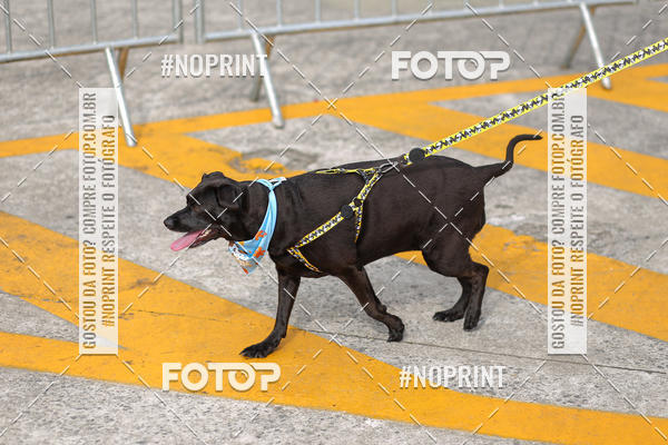 Buy your photos of the eventCorrida Scooby Doo Internacional Shopping Guarulhos 2019 on Fotop