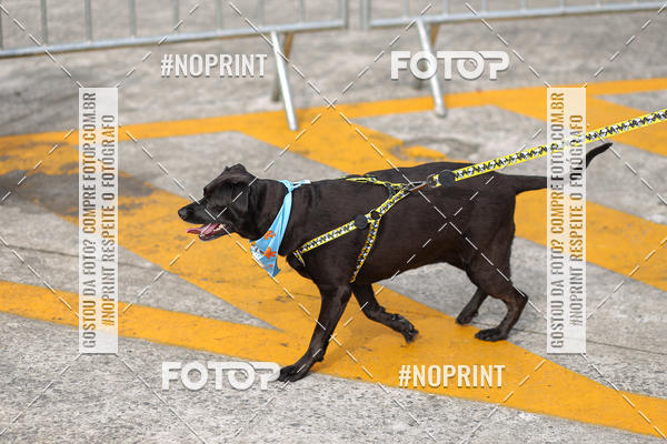 Buy your photos of the eventCorrida Scooby Doo Internacional Shopping Guarulhos 2019 on Fotop
