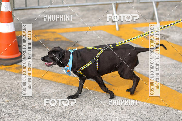 Buy your photos of the eventCorrida Scooby Doo Internacional Shopping Guarulhos 2019 on Fotop