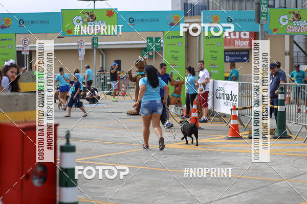 Buy your photos of the eventCorrida Scooby Doo Internacional Shopping Guarulhos 2019 on Fotop