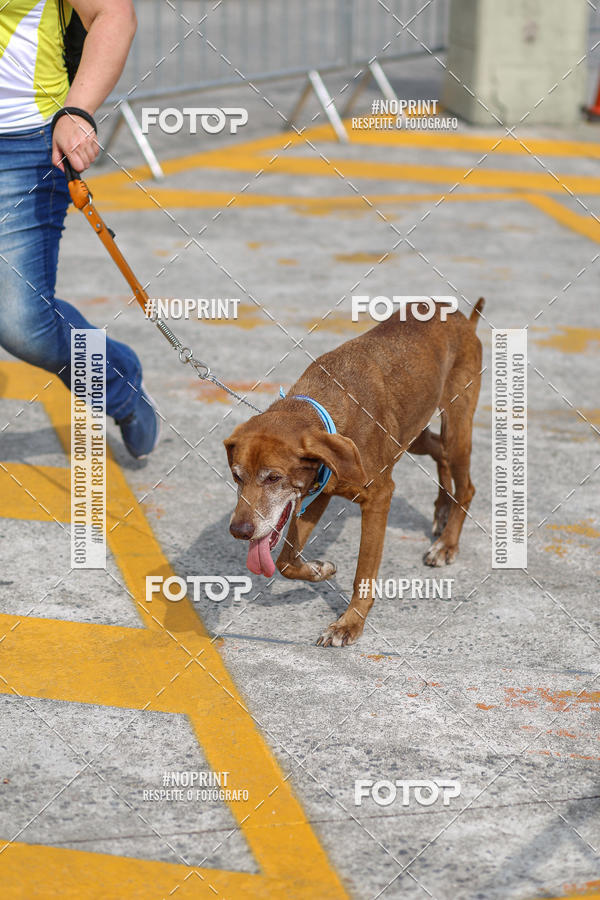 Buy your photos of the eventCorrida Scooby Doo Internacional Shopping Guarulhos 2019 on Fotop