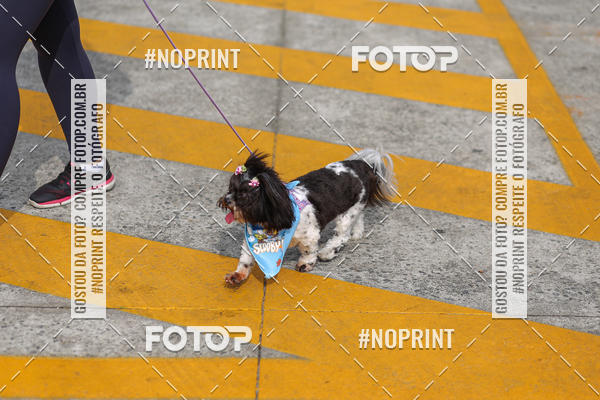 Buy your photos of the eventCorrida Scooby Doo Internacional Shopping Guarulhos 2019 on Fotop