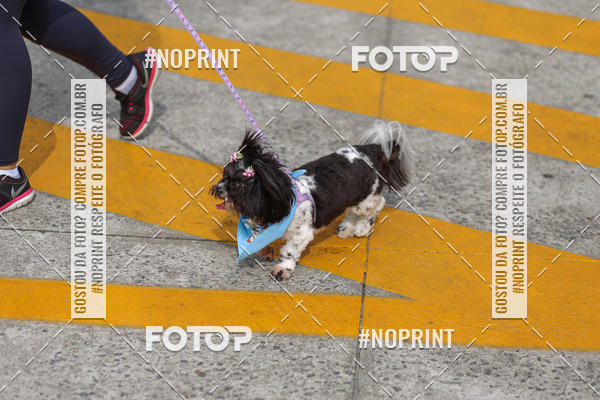 Buy your photos of the eventCorrida Scooby Doo Internacional Shopping Guarulhos 2019 on Fotop