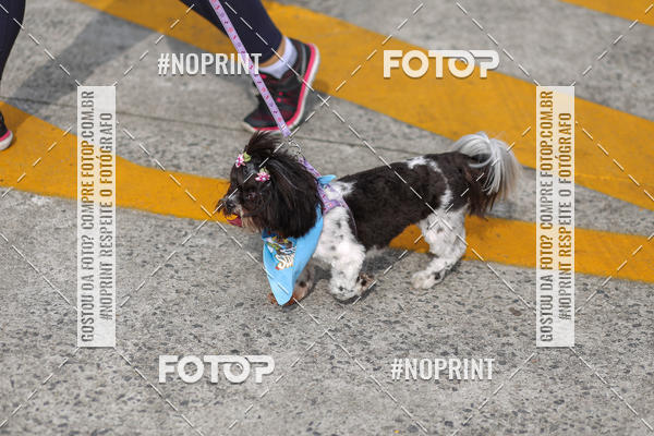 Buy your photos of the eventCorrida Scooby Doo Internacional Shopping Guarulhos 2019 on Fotop