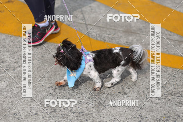 Buy your photos of the eventCorrida Scooby Doo Internacional Shopping Guarulhos 2019 on Fotop