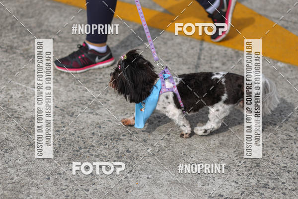 Buy your photos of the eventCorrida Scooby Doo Internacional Shopping Guarulhos 2019 on Fotop