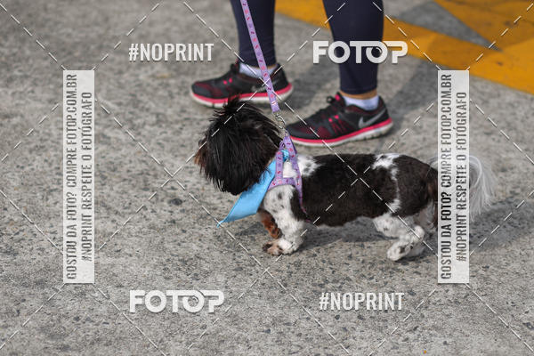 Buy your photos of the eventCorrida Scooby Doo Internacional Shopping Guarulhos 2019 on Fotop