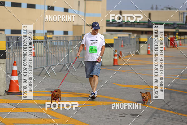 Buy your photos of the eventCorrida Scooby Doo Internacional Shopping Guarulhos 2019 on Fotop
