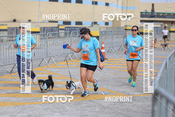 Buy your photos of the eventCorrida Scooby Doo Internacional Shopping Guarulhos 2019 on Fotop
