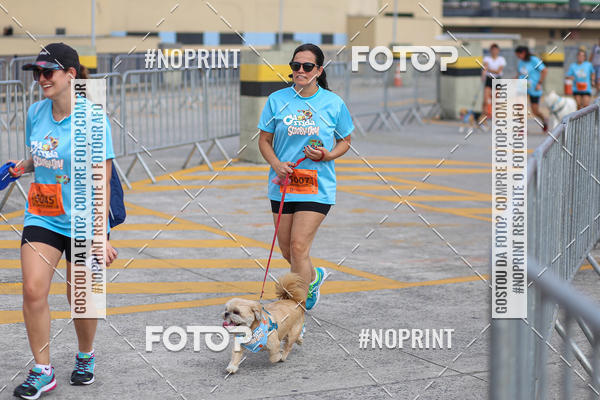 Buy your photos of the eventCorrida Scooby Doo Internacional Shopping Guarulhos 2019 on Fotop