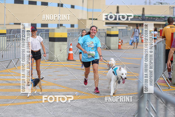 Buy your photos of the eventCorrida Scooby Doo Internacional Shopping Guarulhos 2019 on Fotop