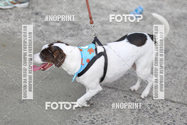 Buy your photos of the eventCorrida Scooby Doo Internacional Shopping Guarulhos 2019 on Fotop
