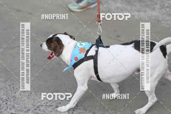 Buy your photos of the eventCorrida Scooby Doo Internacional Shopping Guarulhos 2019 on Fotop