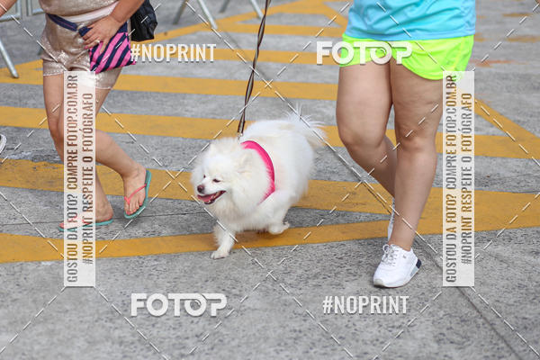 Buy your photos of the eventCorrida Scooby Doo Internacional Shopping Guarulhos 2019 on Fotop