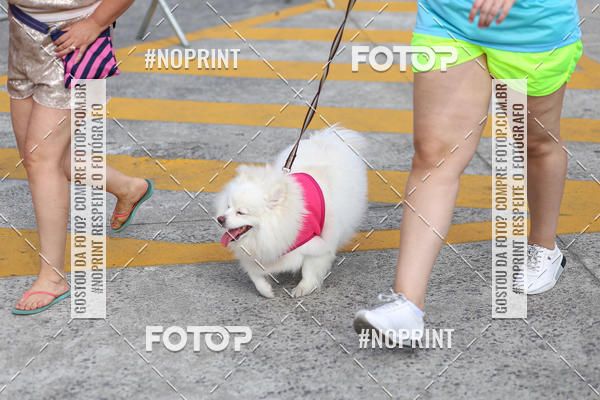 Buy your photos of the eventCorrida Scooby Doo Internacional Shopping Guarulhos 2019 on Fotop