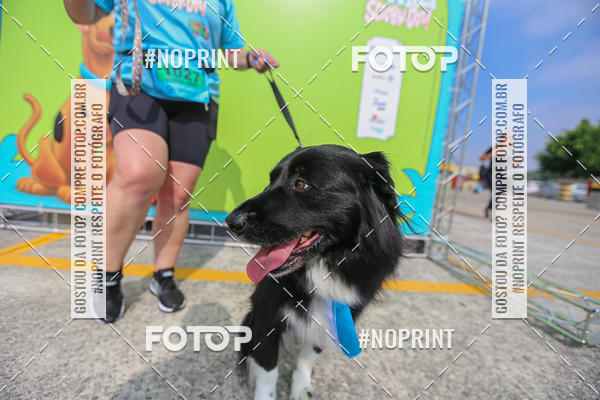 Buy your photos of the eventCorrida Scooby Doo Internacional Shopping Guarulhos 2019 on Fotop