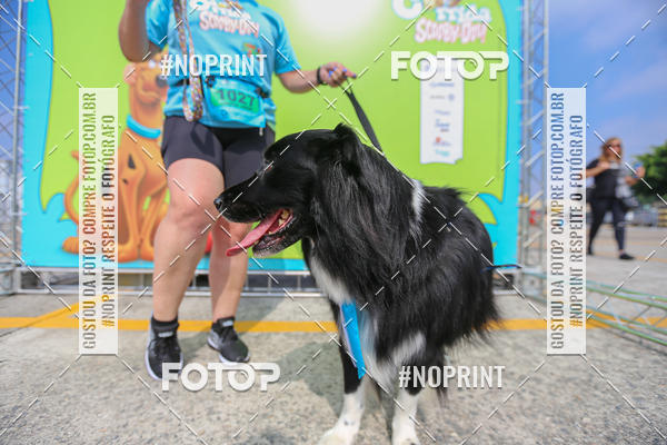 Buy your photos of the eventCorrida Scooby Doo Internacional Shopping Guarulhos 2019 on Fotop