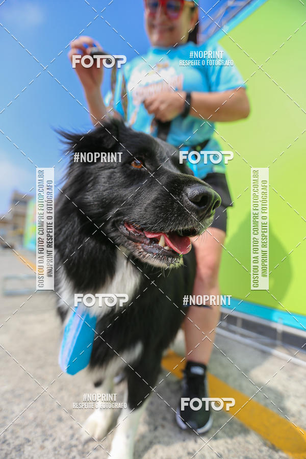 Buy your photos of the eventCorrida Scooby Doo Internacional Shopping Guarulhos 2019 on Fotop
