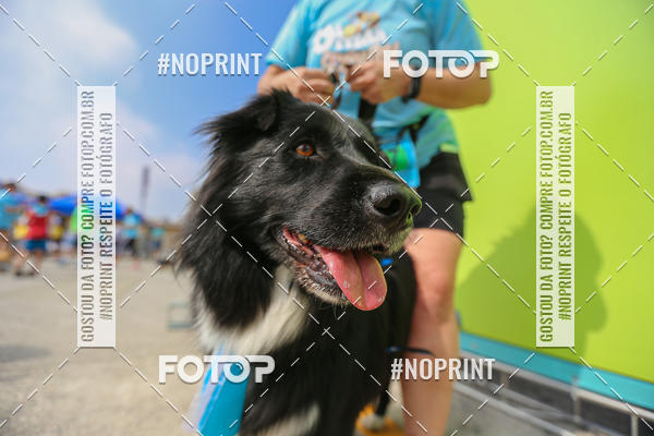 Buy your photos of the eventCorrida Scooby Doo Internacional Shopping Guarulhos 2019 on Fotop