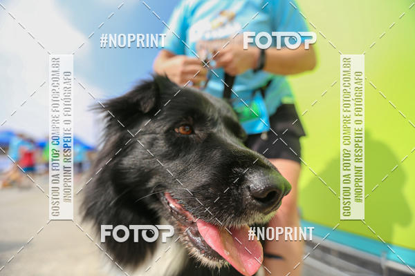 Buy your photos of the eventCorrida Scooby Doo Internacional Shopping Guarulhos 2019 on Fotop
