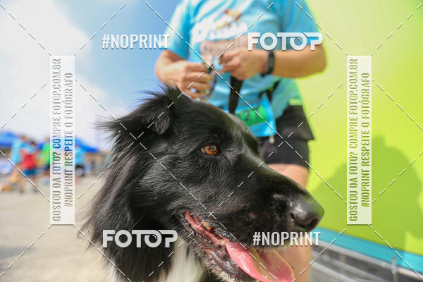 Buy your photos of the eventCorrida Scooby Doo Internacional Shopping Guarulhos 2019 on Fotop