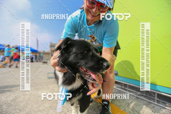 Buy your photos of the eventCorrida Scooby Doo Internacional Shopping Guarulhos 2019 on Fotop