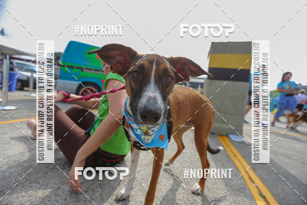 Buy your photos of the eventC�orrida Scooby Doo Internacional Shopping Guarulhos 2019 on Fotop