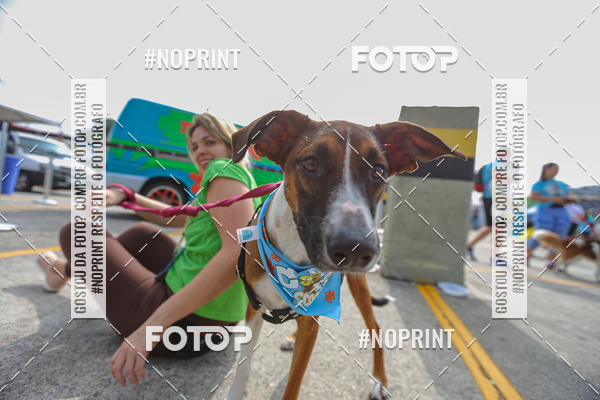 Buy your photos of the eventC�orrida Scooby Doo Internacional Shopping Guarulhos 2019 on Fotop