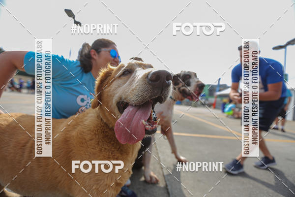 Acquista le foto dell'eventoC�orrida Scooby Doo Internacional Shopping Guarulhos 2019 in Fotop