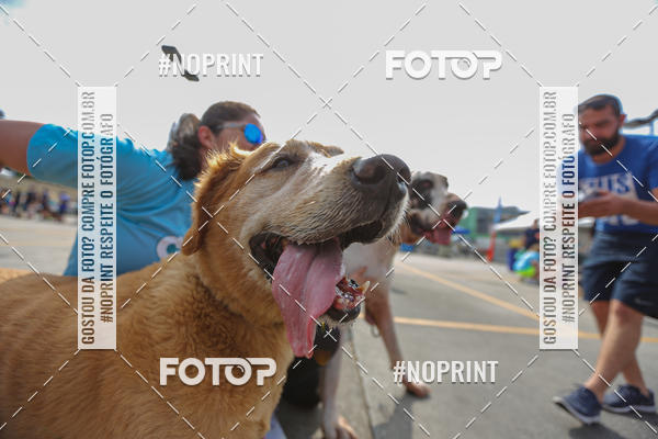 Acquista le foto dell'eventoC�orrida Scooby Doo Internacional Shopping Guarulhos 2019 in Fotop