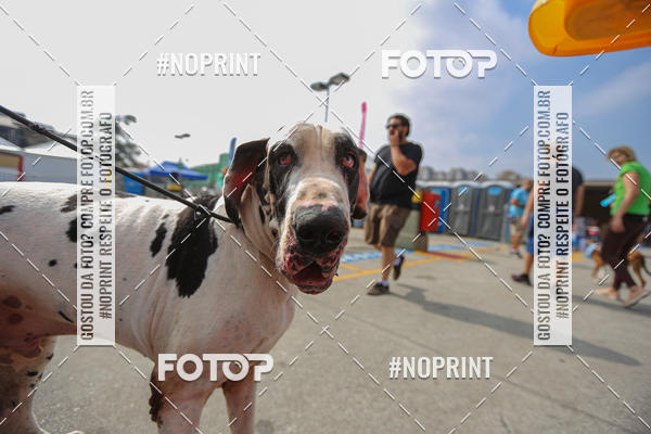 Acquista le foto dell'eventoC�orrida Scooby Doo Internacional Shopping Guarulhos 2019 in Fotop