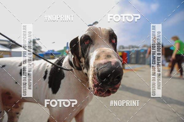 Acquista le foto dell'eventoC�orrida Scooby Doo Internacional Shopping Guarulhos 2019 in Fotop